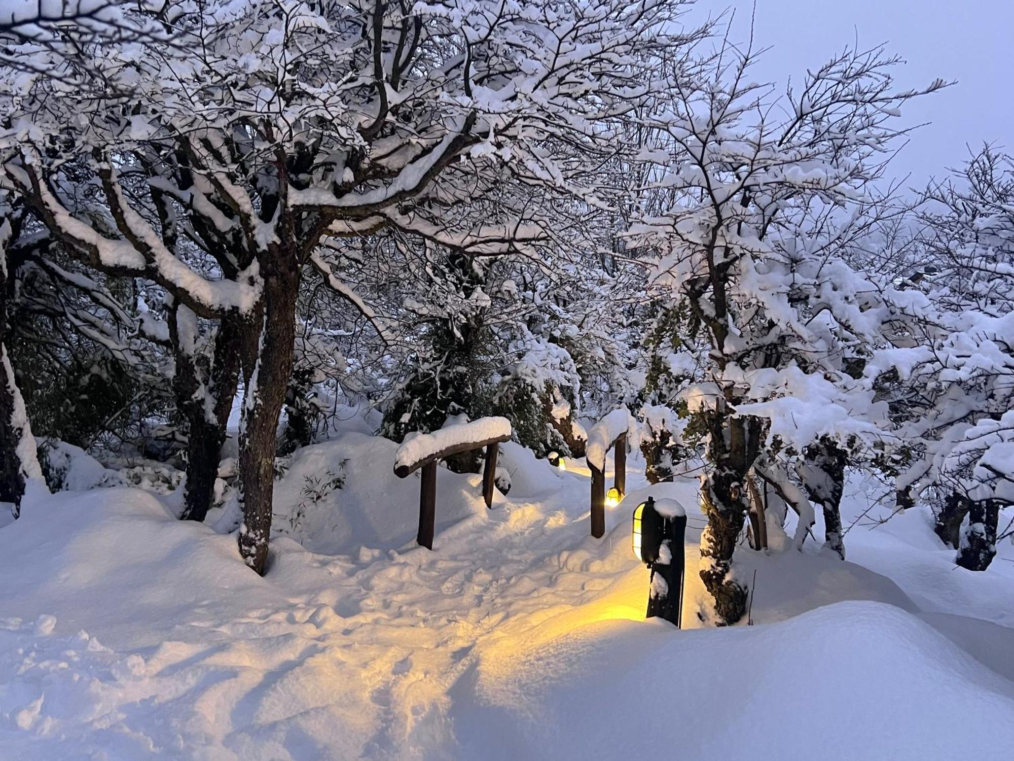 Los Nires Lodge Cerro Catedral San Carlos de Bariloche Eksteriør billede